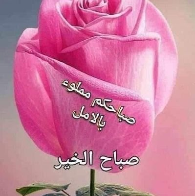 ZadKamel's profile picture. 