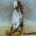 نور عيني (@mmnn1880) Twitter profile photo نور عيني (@mmnn1880) Twitter profile photo