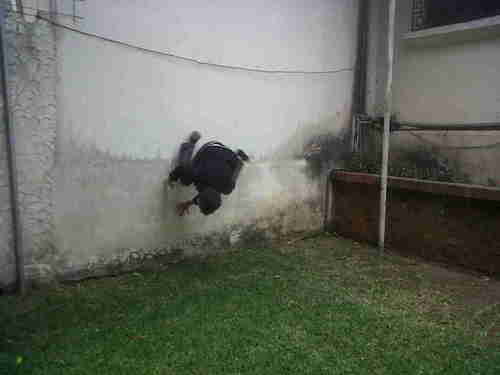 alexskykeeper's profile picture. 