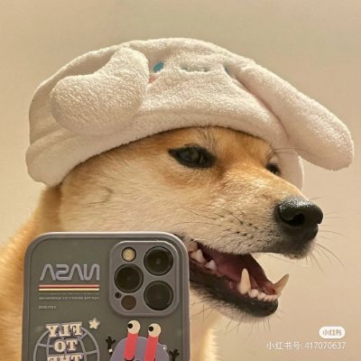 z3365157576's profile picture. 11