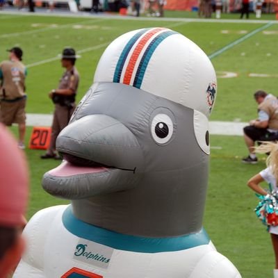 MPDolphinsFan Profile Picture