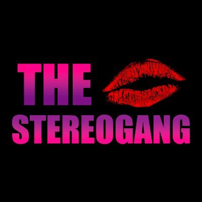 THE・ステレオギャング Profile