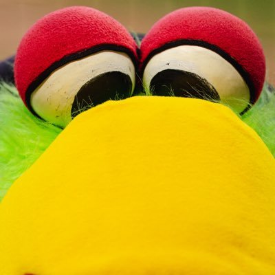 Official account of the Pirate Parrot, Pittsburgh @Pirates mascot!
