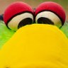 Pirate_Parrot's profile picture. Official account of the Pirate Parrot, Pittsburgh @Pirates mascot!