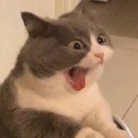 chiaaa (@atrxiadb) 's Twitter Profile