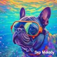 melo_ysx's profile picture. Exploring the powerful convergence of art and blockchain through nfts