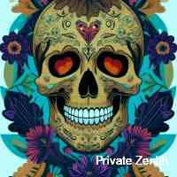 zennithprivate's profile picture. Why netflix & chill when you can nft & chill? 😎