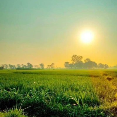 akashmi25674241's profile picture. STUDENT