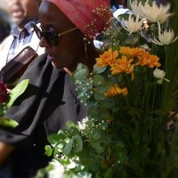🌺Wabi-Sabi🌺 (@lekomatsi) 's Twitter Profile