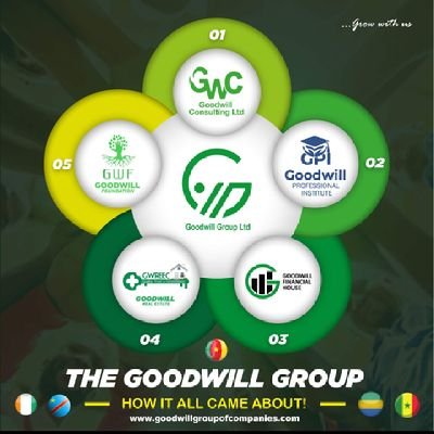 Goodwill Group of Companies Consists of
- Goodwill Financial House - Goodwill Real Estate- Goodwill Institute- Goodwill Consulting and Foundation