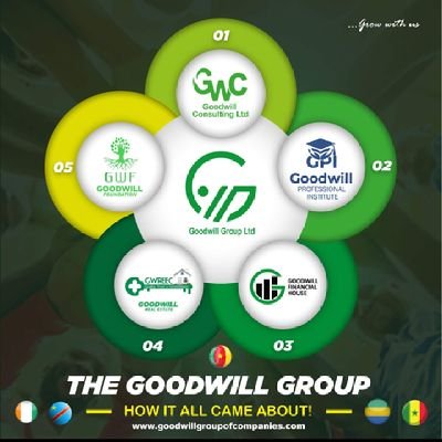 Goodwill Group of Companies Consists of 
- Goodwill Financial House - Goodwill Real Estate- Goodwill Institute- Goodwill Consulting and Foundation