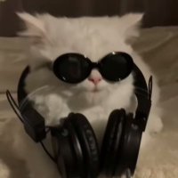 broll2🦕เมนชั่นไม่แจ้งเตือน (@broll22222) 's Twitter Profile