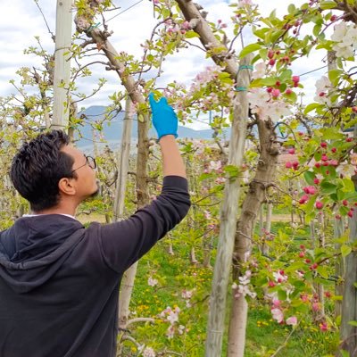 #MSCA fellow @UniTrento @fondazionemach. Former #MEXT student. Ecology and evolution of the plant microbiome for sustainable crop production