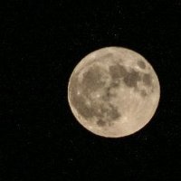 Odinkaffee 🎗️ (@odinkaffee) Twitter profile photo