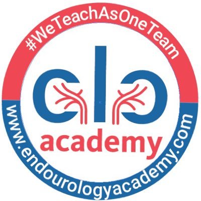A “global platform” for endourology education and training #WeTeachAsOneTeam #endourologyacademy