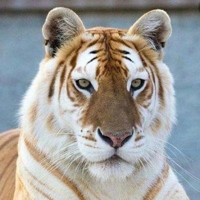 Maluzinha93920's profile picture. 