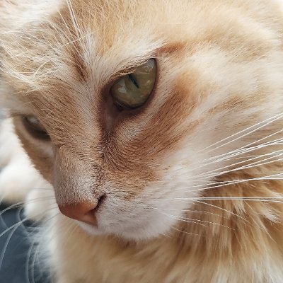 patrik_amasiero's profile picture. 