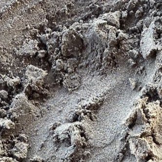 spookylife00's profile picture. Time