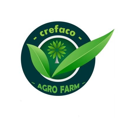 crefacogroup's profile picture. Our focus to help the Tanzania farmers,improve their standard of living by providing complete farming solutions and guidance
e-m:crefaco_2021.org.tz@outlook.com