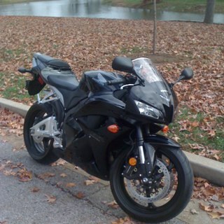 thebull101's profile picture. 