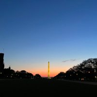 Rogan Quinn (@haititochina) 's Twitter Profile
