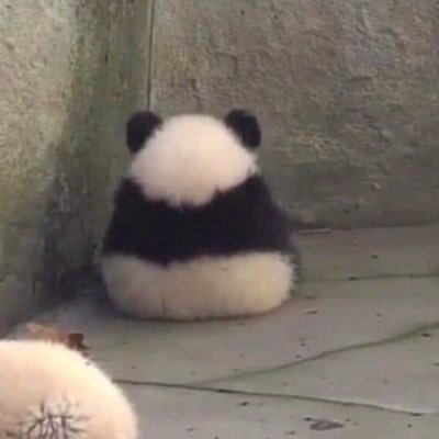 meranahimann's profile picture. | 24 | she/her