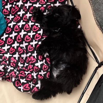 WTFGodly's profile picture. that 1 guy…