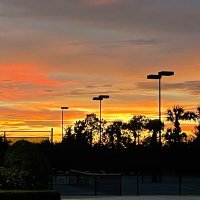 Mark McNall (@bubba8049) 's Twitter Profile