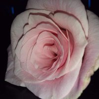 J&B (@jb5026944332674) 's Twitter Profile