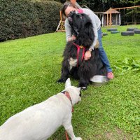Marce Tabares 🐶 (@marce_tabares) 's Twitter Profile Photo Marce Tabares 🐶 (@marce_tabares) 's Twitter Profile Photo