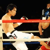 小川悠太 (@yutakickbox) 's Twitter Profile