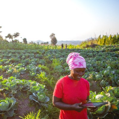 YAF is a student led-medium for sharing and exchanging ideas, and interests in agriculture.