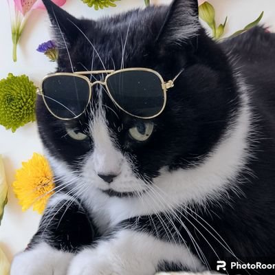 たまこさんのプロフィール画像