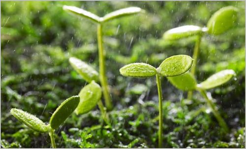 GODLincecum's profile picture. 남고도전팀장 http://t.co/Z6XTg6G4UL  일상의 일탈을 꿈꾸는 멋진 구르미입니다!!