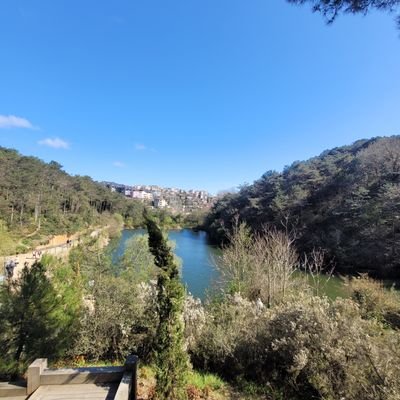 kelimebittii's profile picture. .