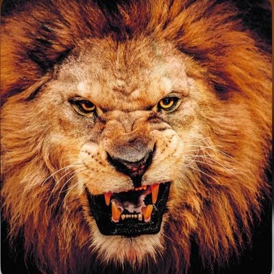 Adel211822a's profile picture. لا اله الا أنت سبحانك إني كنت من الظالمين