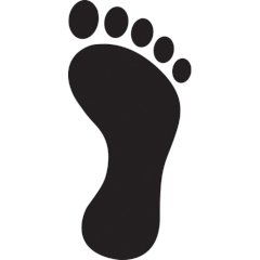 Digital Footprint Profile