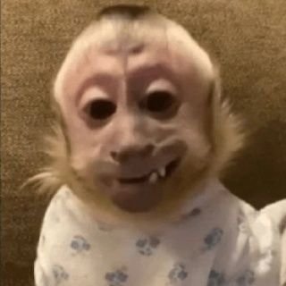 AirCoode's profile picture. 