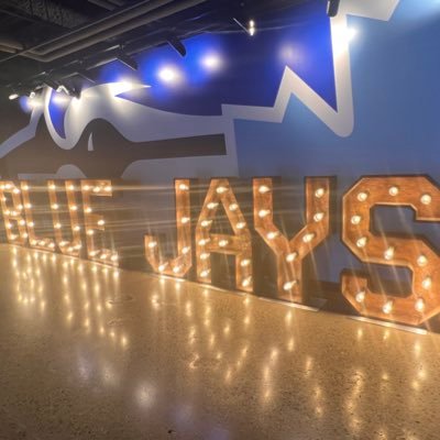jaysatbat's profile picture. Jays fan since 1980