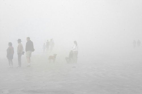 patbrogan's profile picture. 