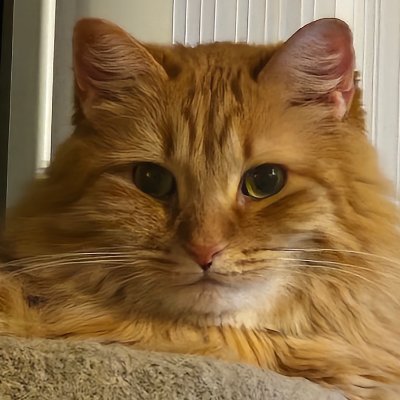 J_Marie99's profile picture. BLM