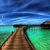 freserfg26819's profile picture. been on the road