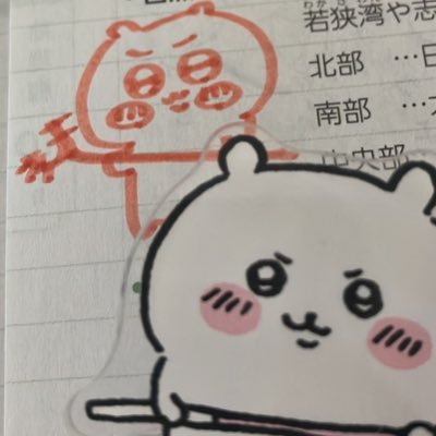 ばちらこりさんのプロフィール画像