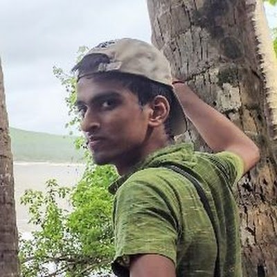 VizzuPi's profile picture. 