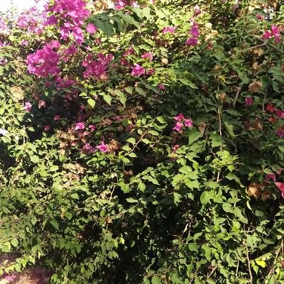 kde_3g's profile picture. 