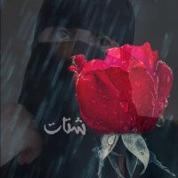 شتــات(@Shade3077) 's Twitter Profile Photo