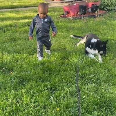 Ironlung79's profile picture. 