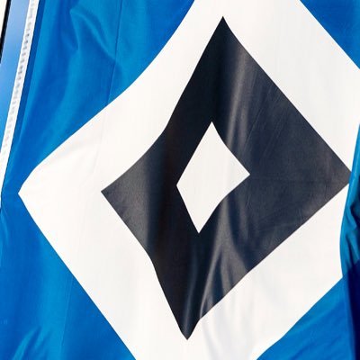 hsv_tobias's profile picture. 36/36  🖤💙🤍