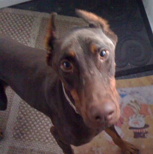 ajmeehan1's profile picture. 