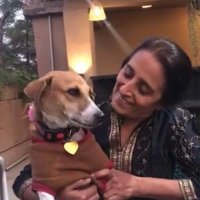 Shaily sood (@sood_shaily) 's Twitter Profile Photo Shaily sood (@sood_shaily) 's Twitter Profile Photo